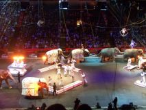 ringling_circus_2.JPG